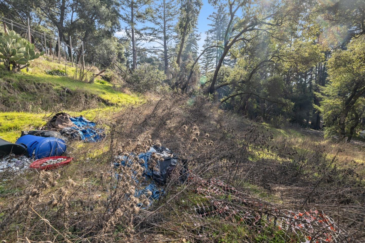 Lot 06 Coffeeberry DR