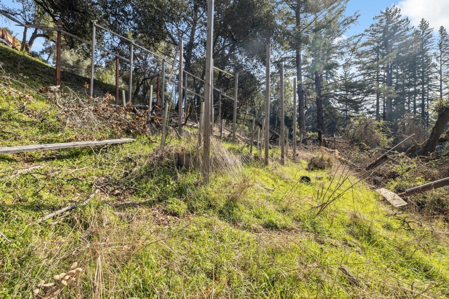 Lot 06 Coffeeberry DR