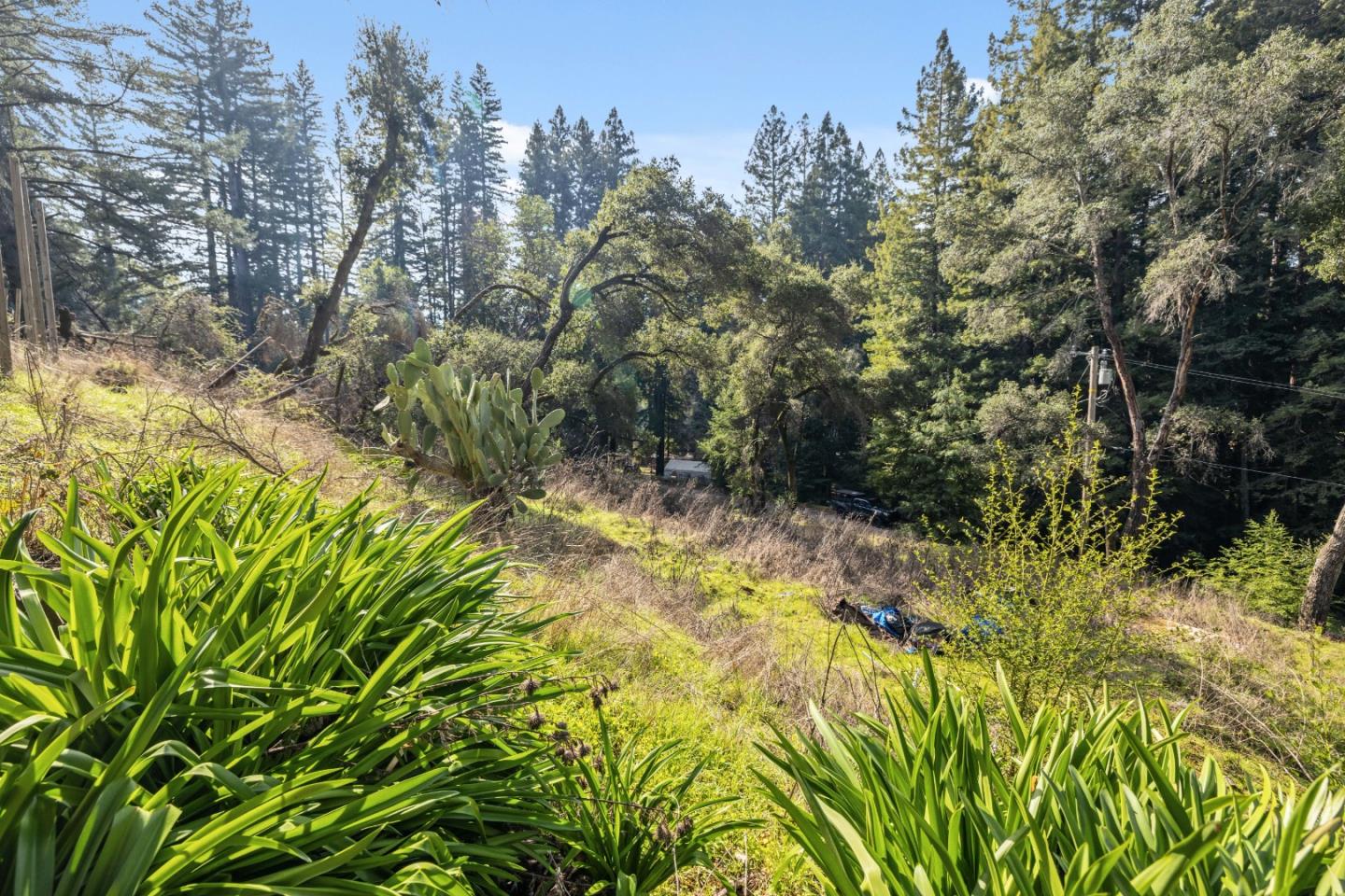 Lot 06 Coffeeberry DR