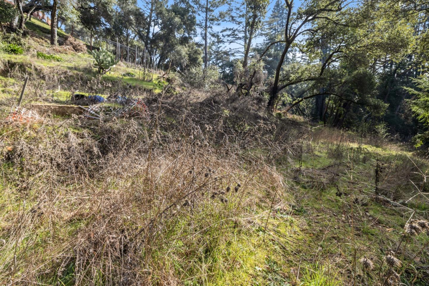 Lot 06 Coffeeberry DR