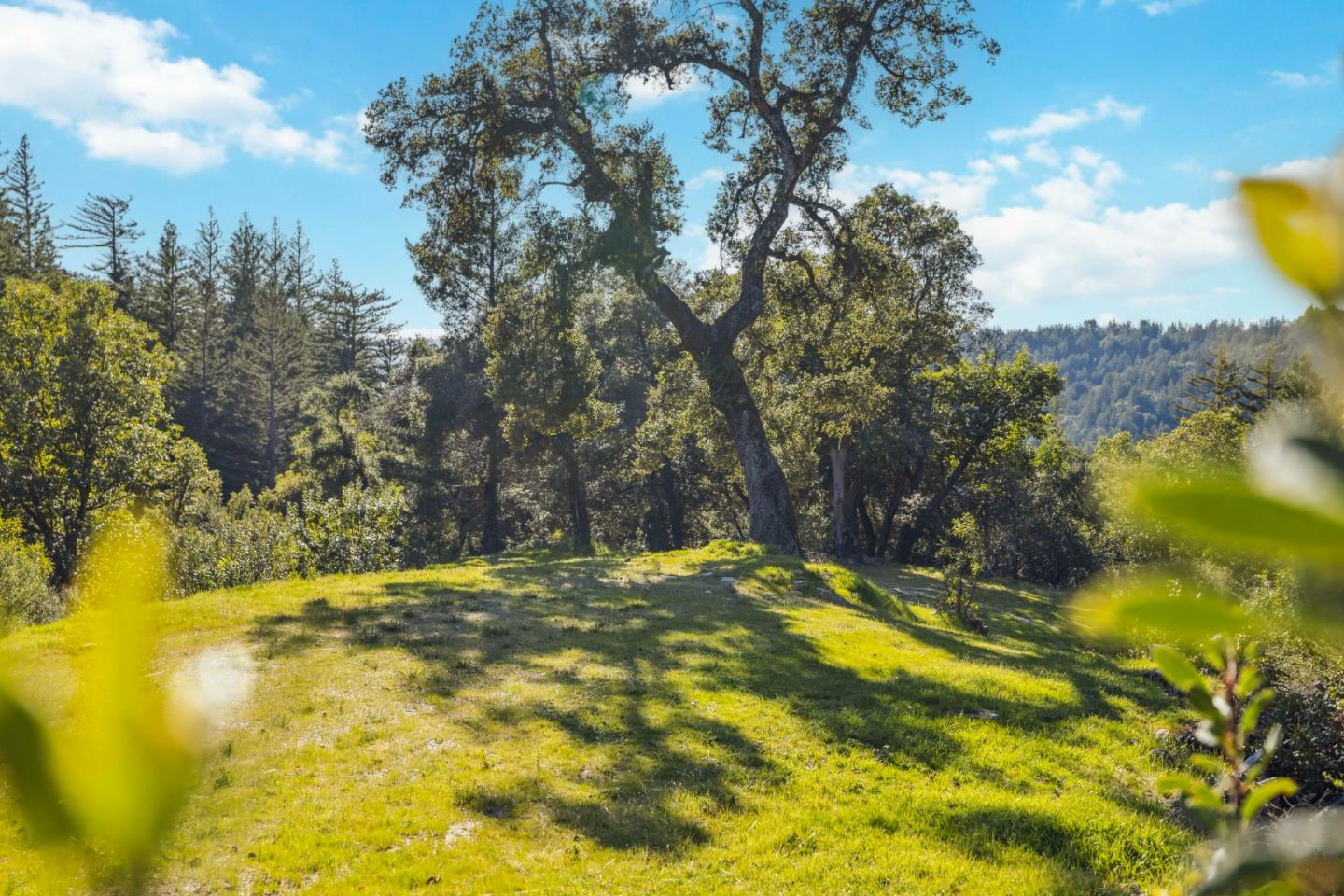 0 Hartman Creek