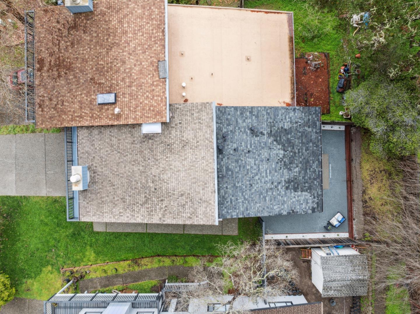 19 Erba LN