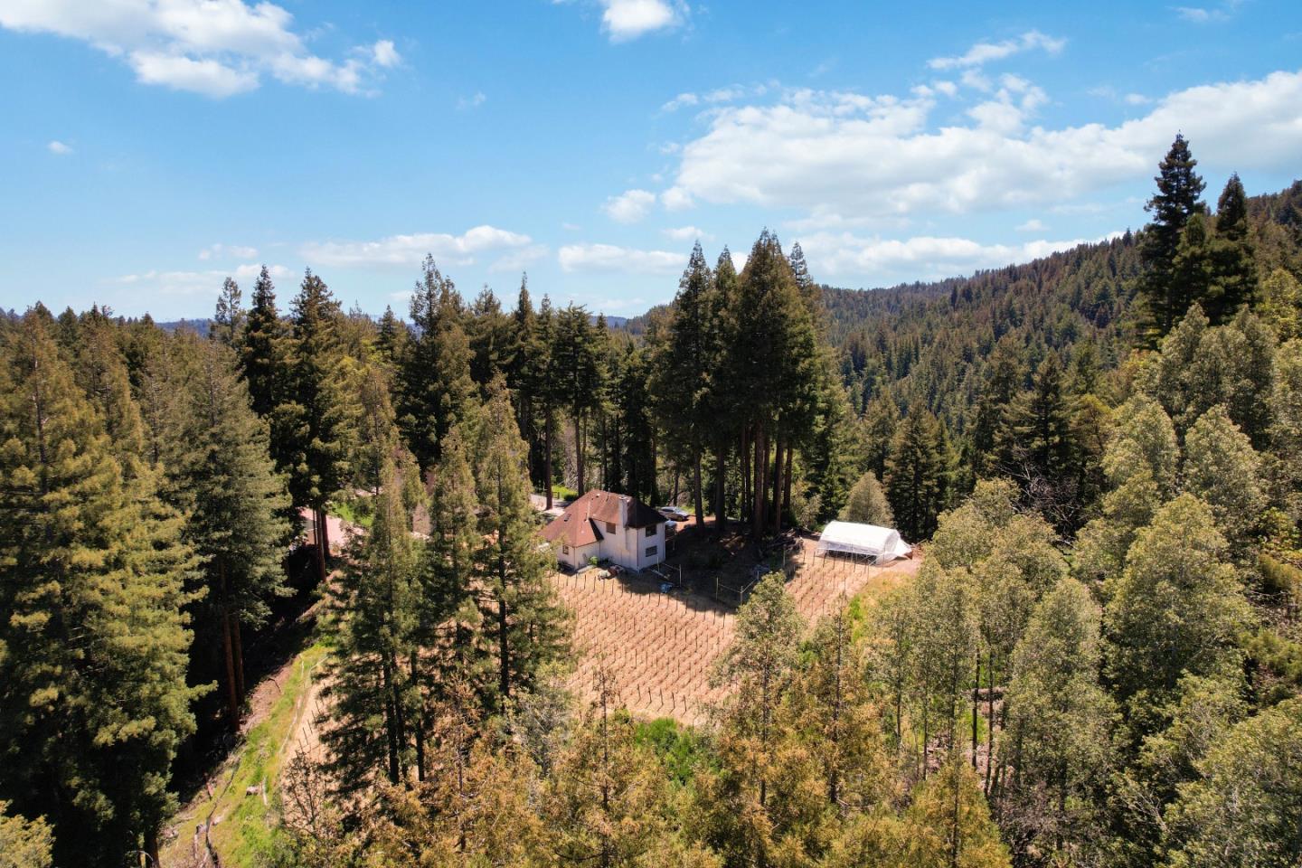 11025 Alba RD