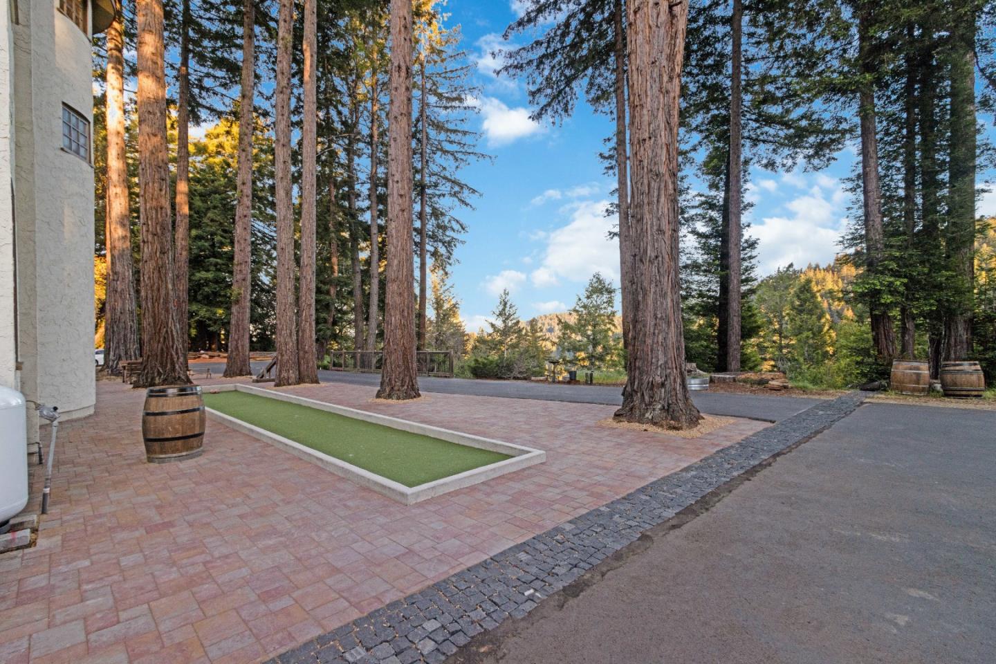11025 Alba RD