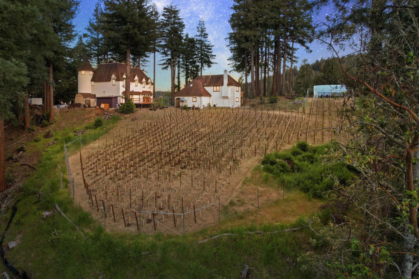 11025 Alba RD