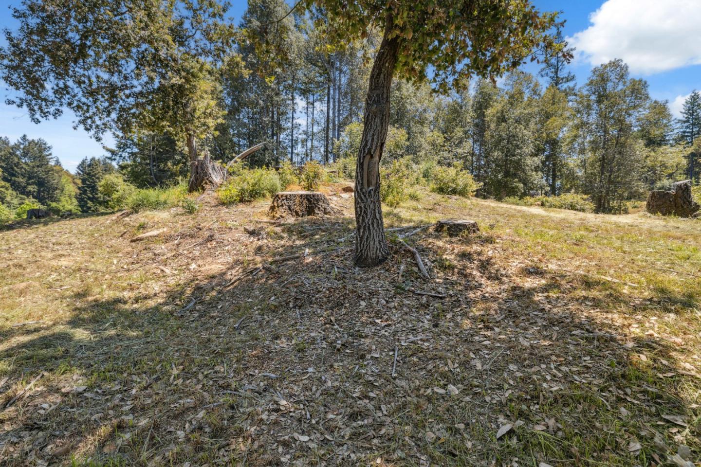 601 Westdale DR
