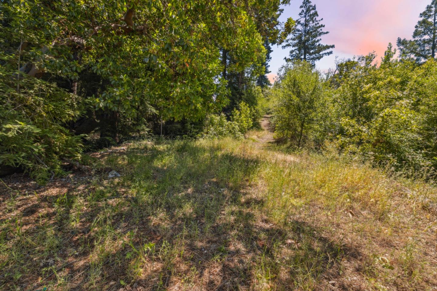 1 Wedwood Widge Way