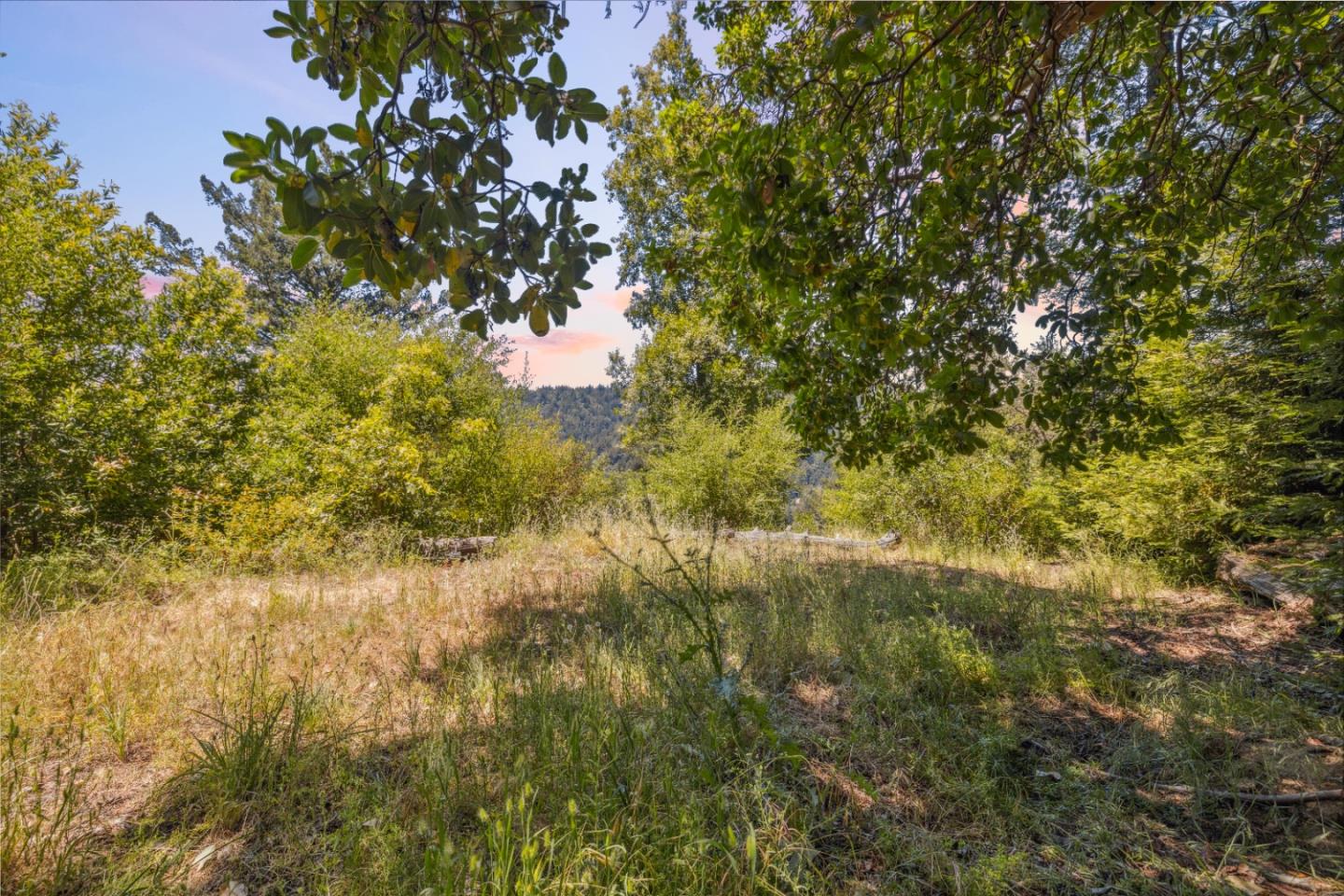 1 Wedwood Widge Way