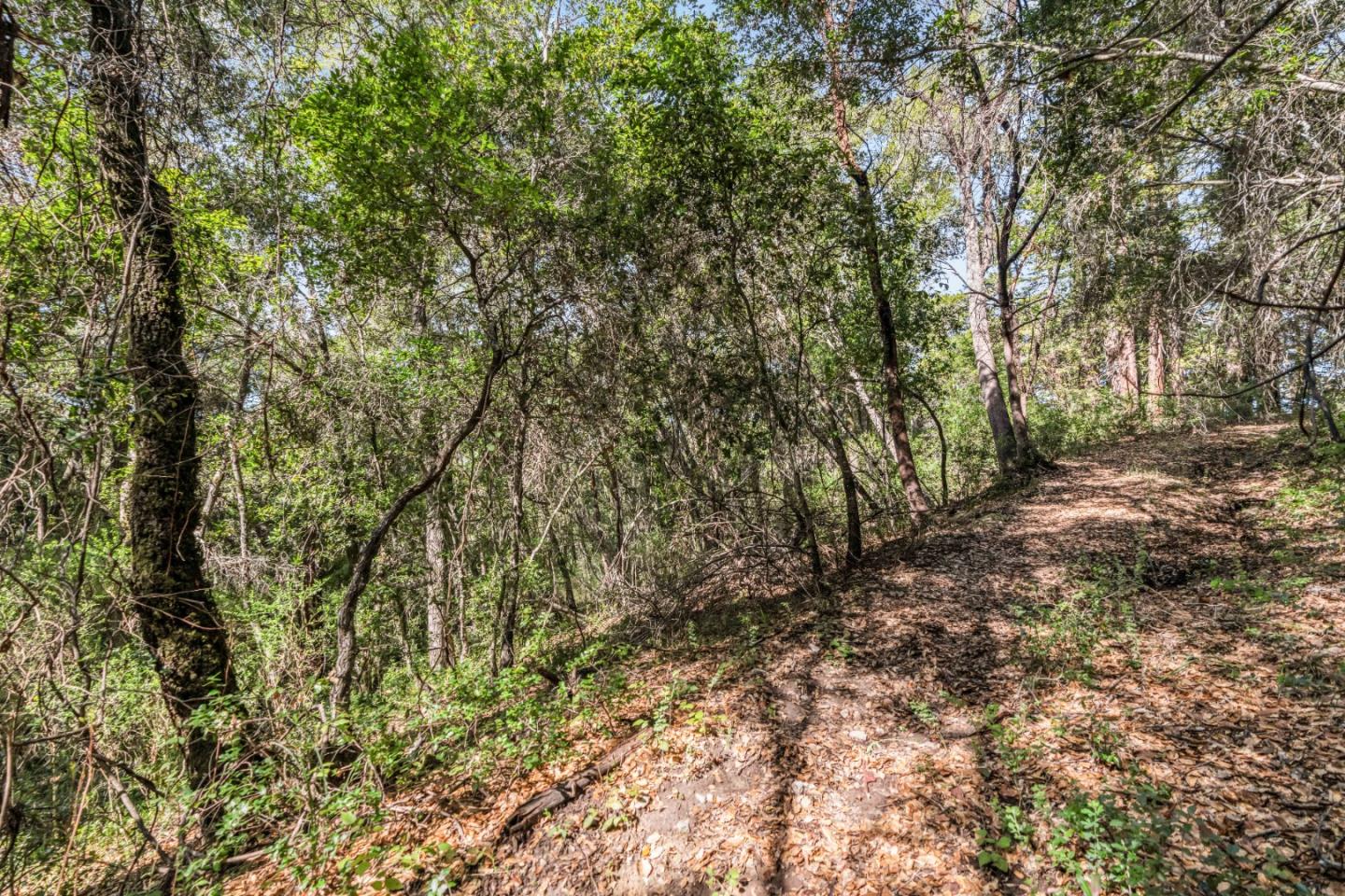 Lot 08 Madrone Avenue