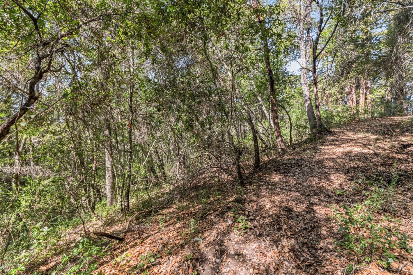 Lot 08 Madrone Avenue