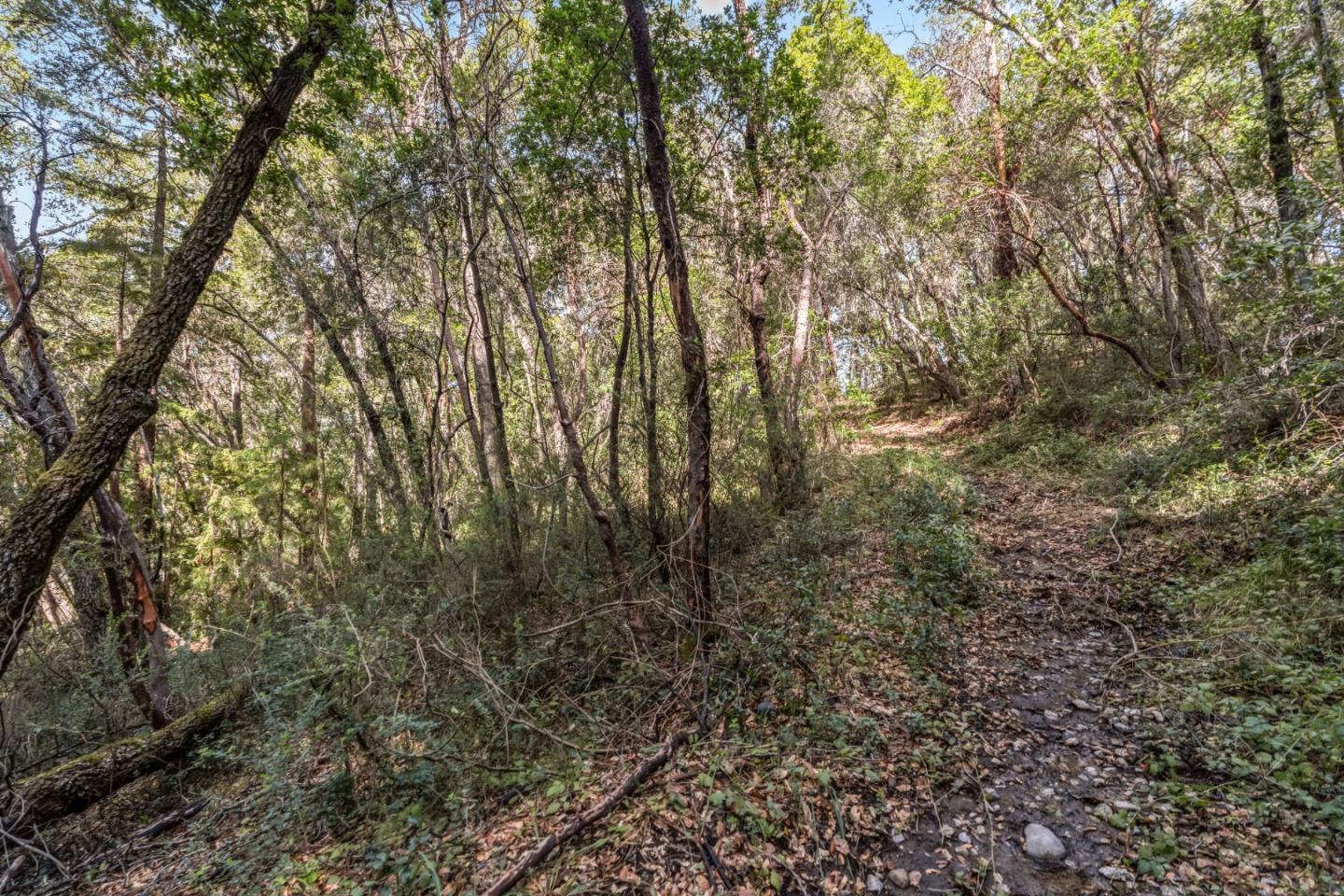 Lot 08 Madrone Avenue