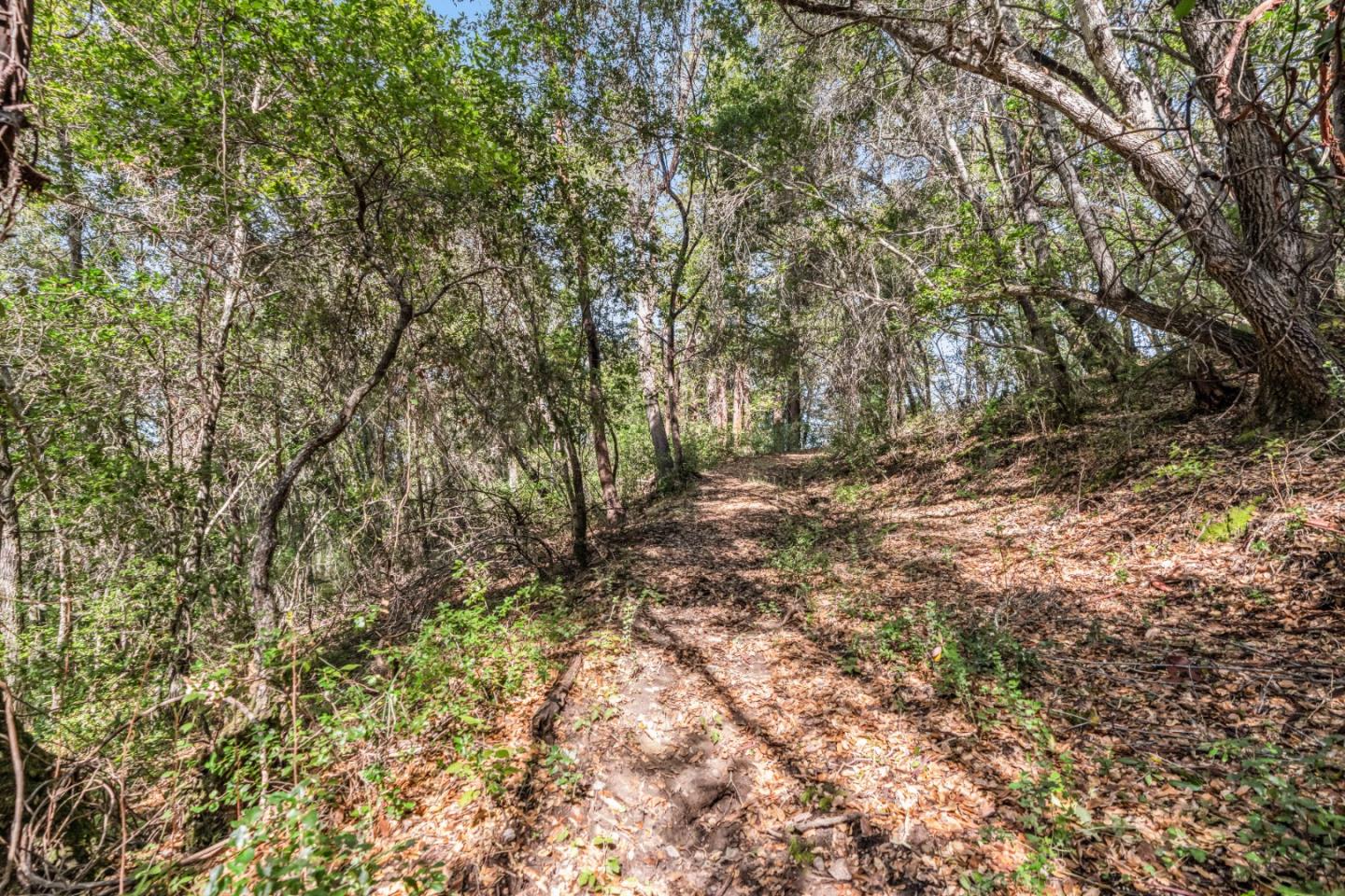 Lot 08 Madrone Avenue