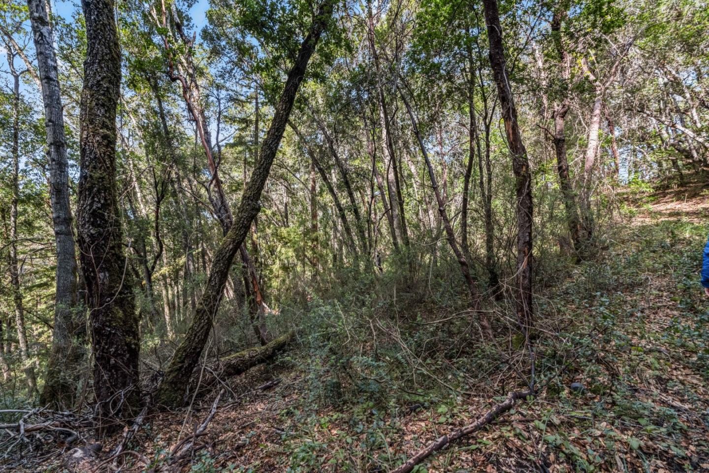 Lot 08 Madrone Avenue