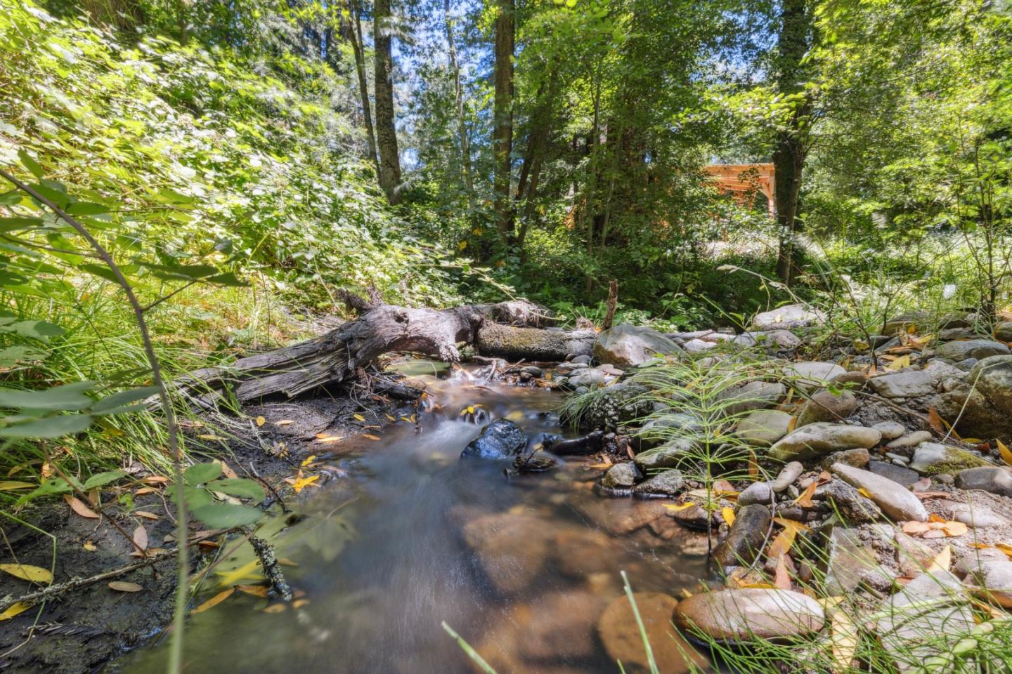 9925 Love Creek Road