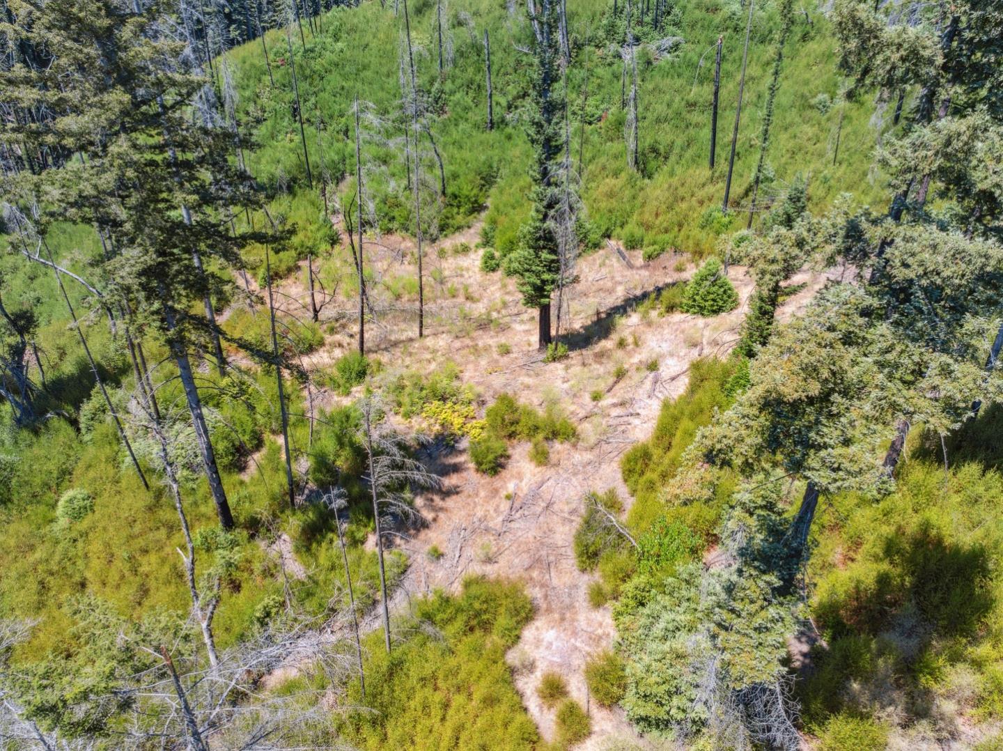 Lot 03 & 06 Branson Ranch