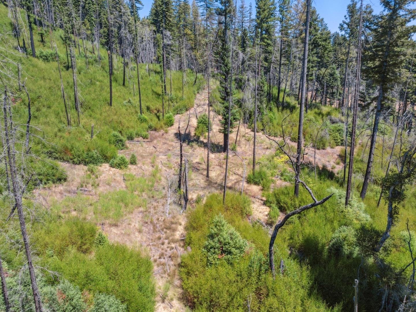 Lot 03 & 06 Branson Ranch