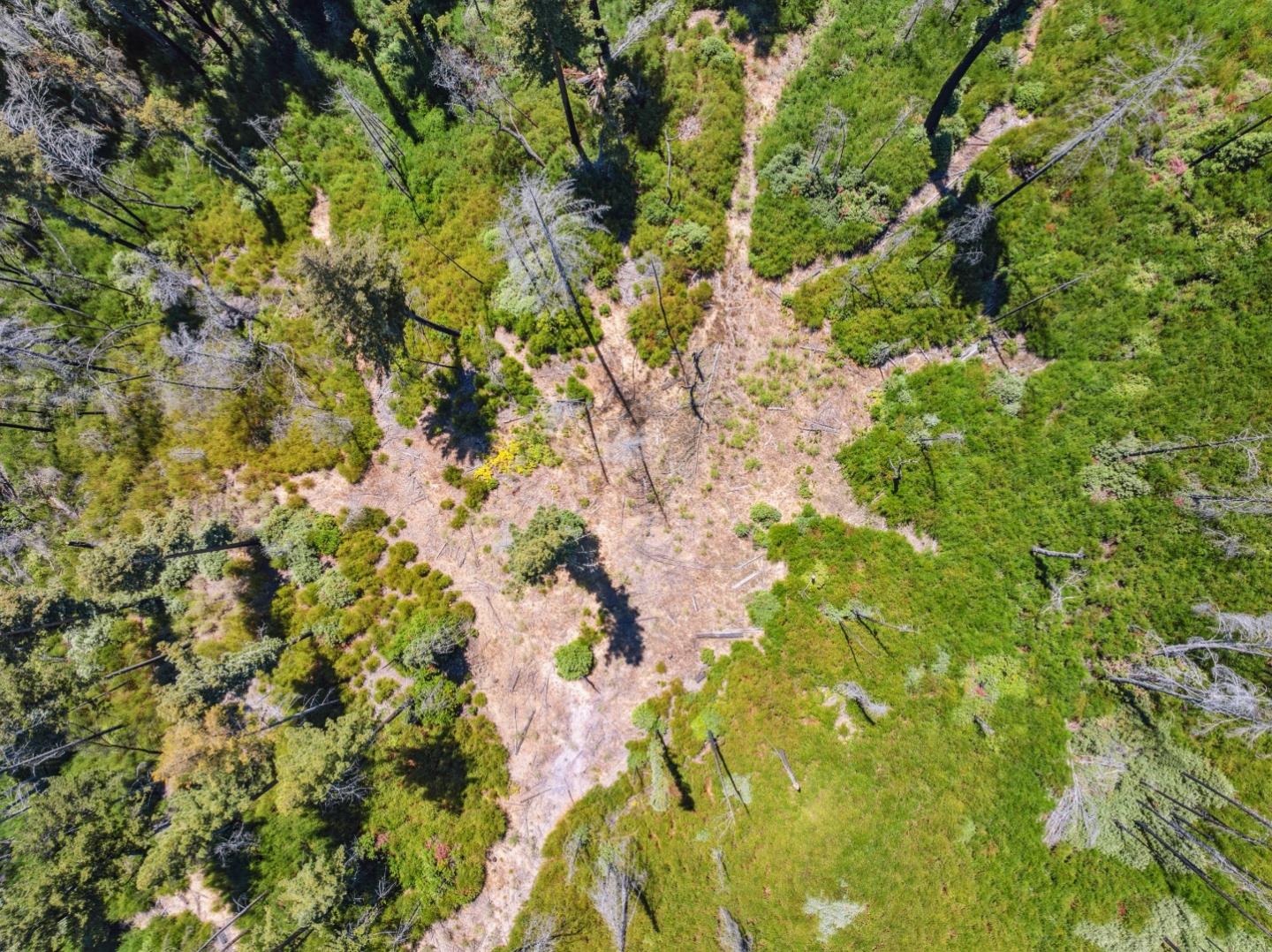Lot 03 & 06 Branson Ranch