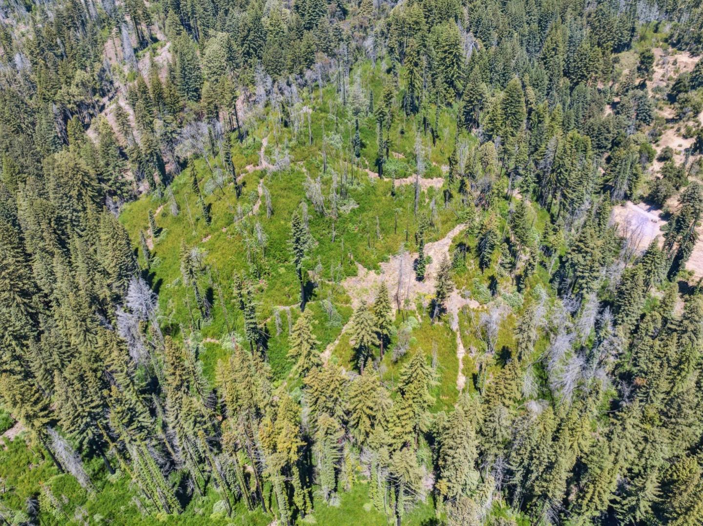Lot 03 & 06 Branson Ranch