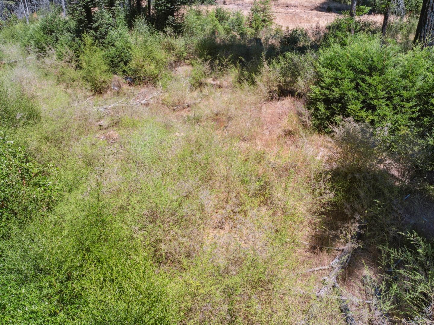 Lot 03 & 06 Branson Ranch