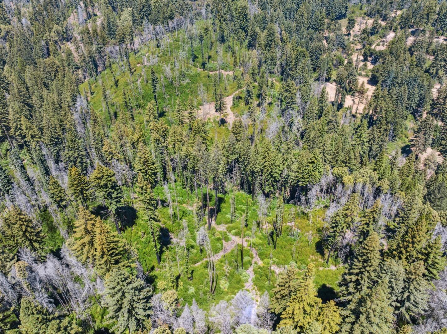 Lot 03 & 06 Branson Ranch