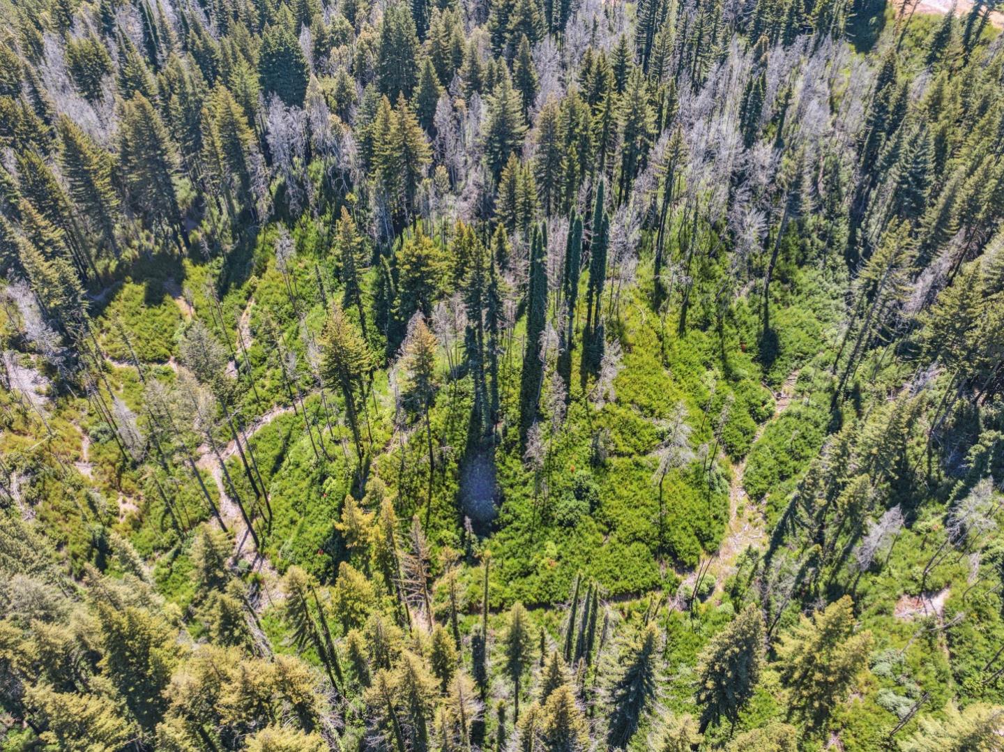 Lot 03 & 06 Branson Ranch