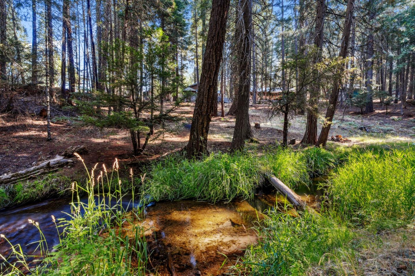 35425 Stonewall Drive