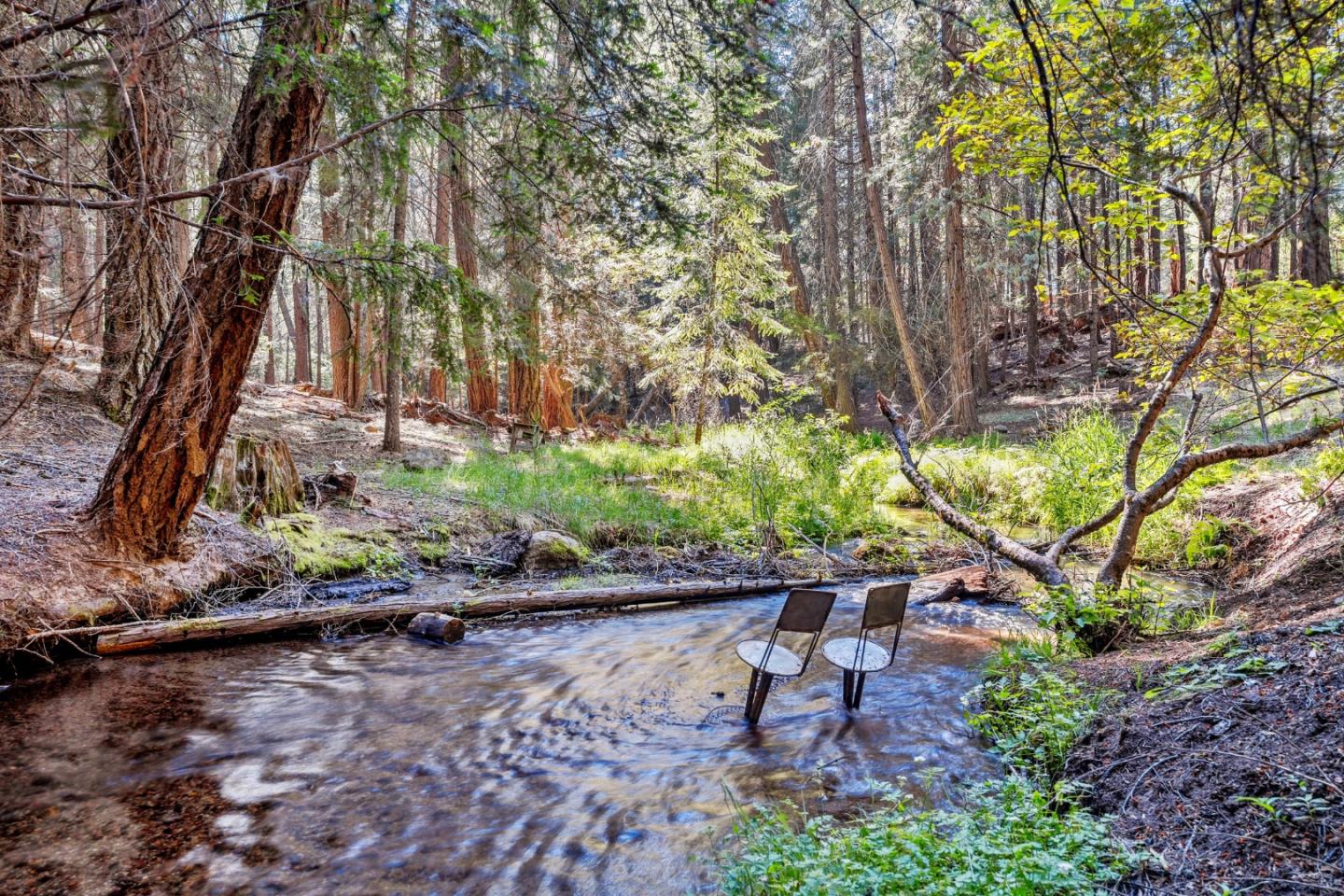 35425 Stonewall Drive