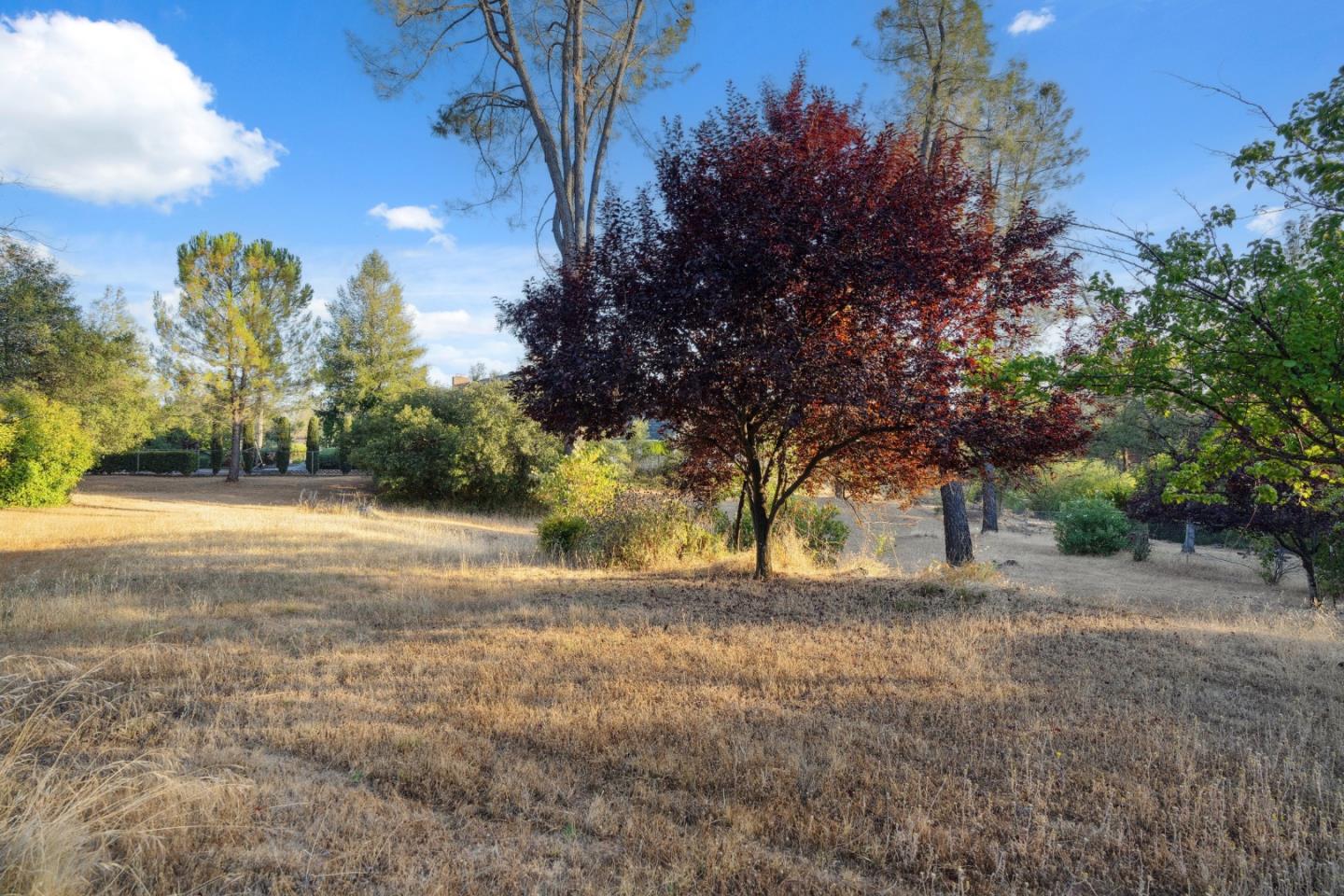 13289 Moccasin Lane