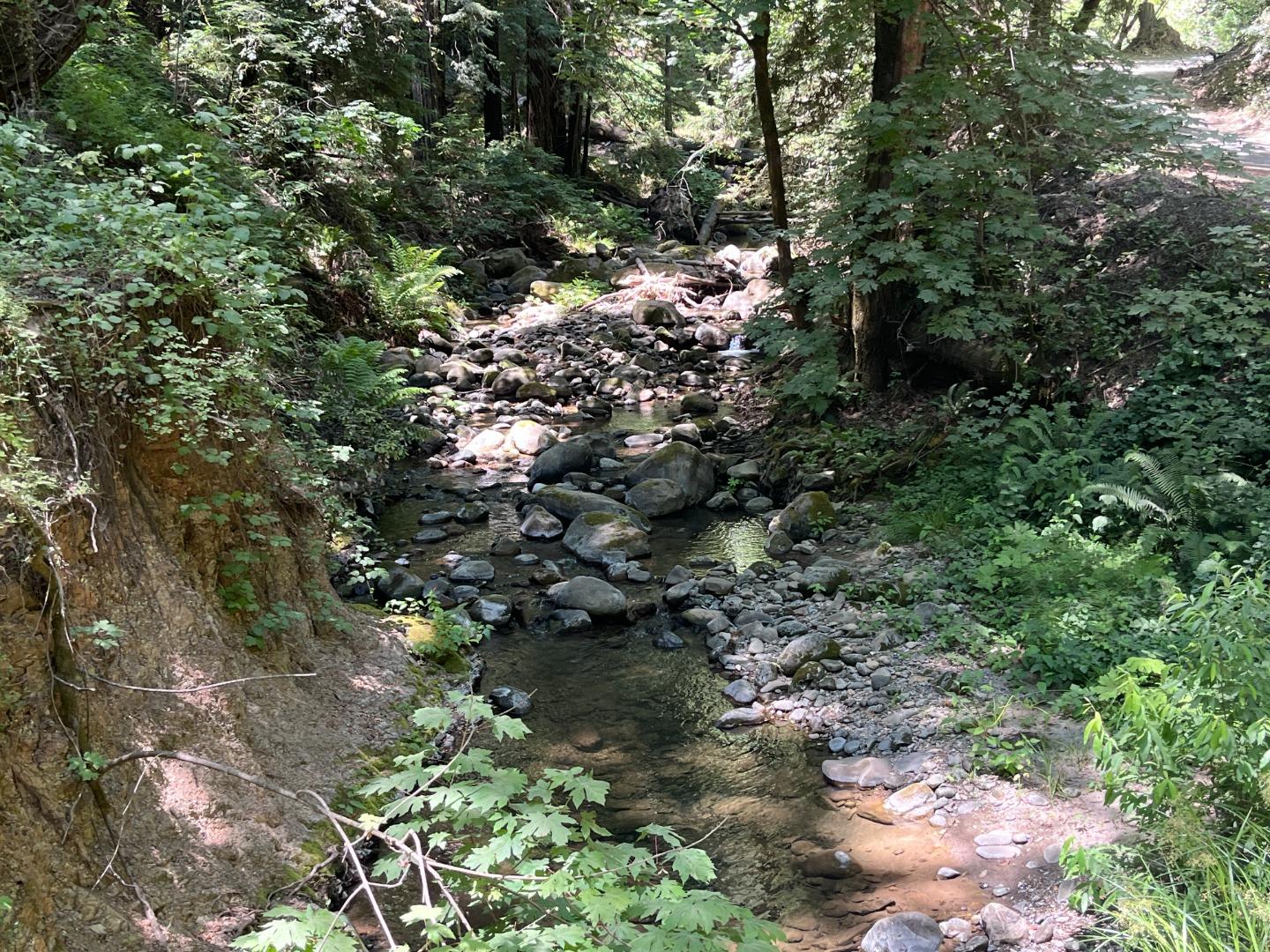 0 Deer Creek (Lot 21)