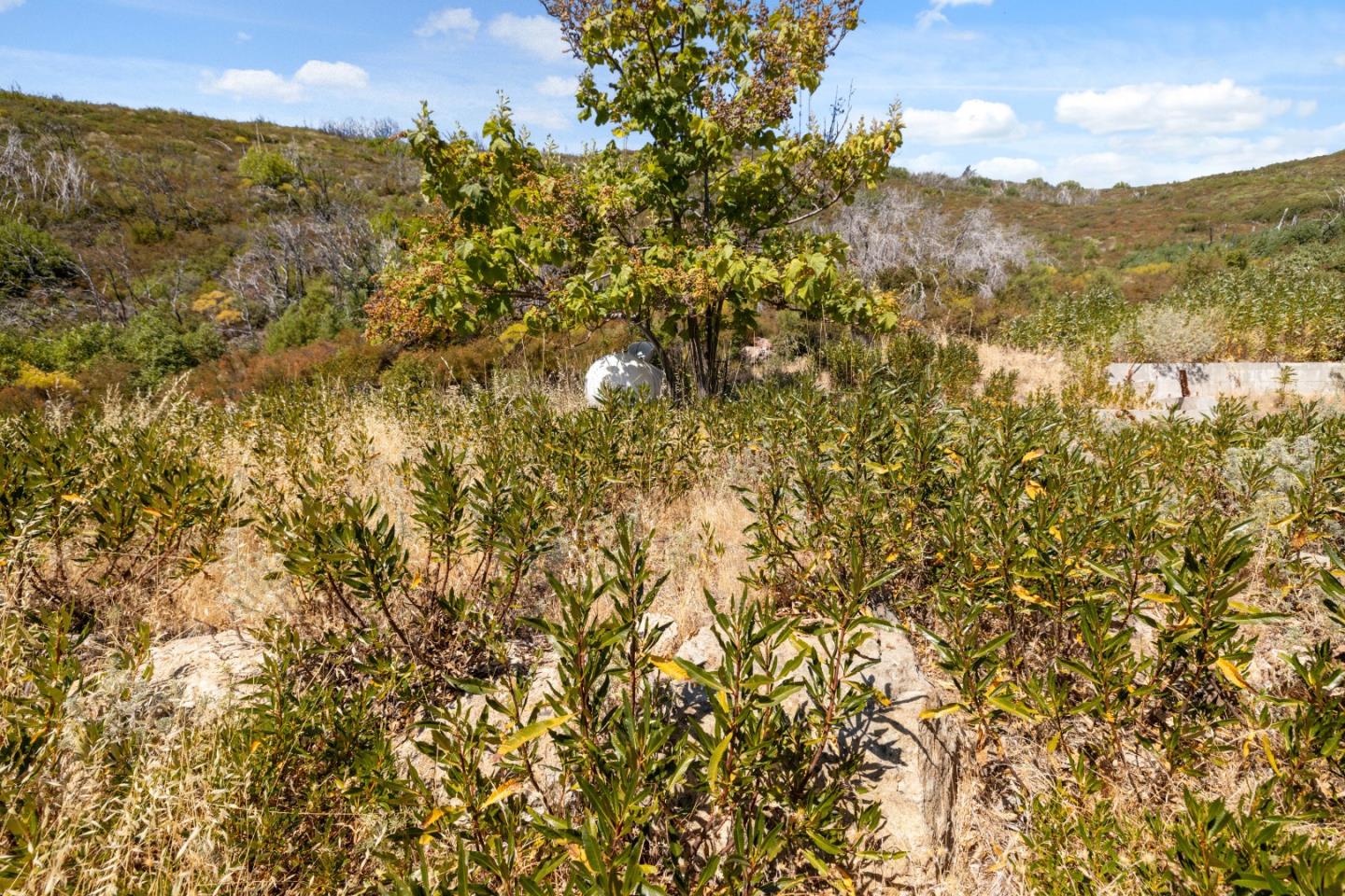 35005 Loma Chiquita Road