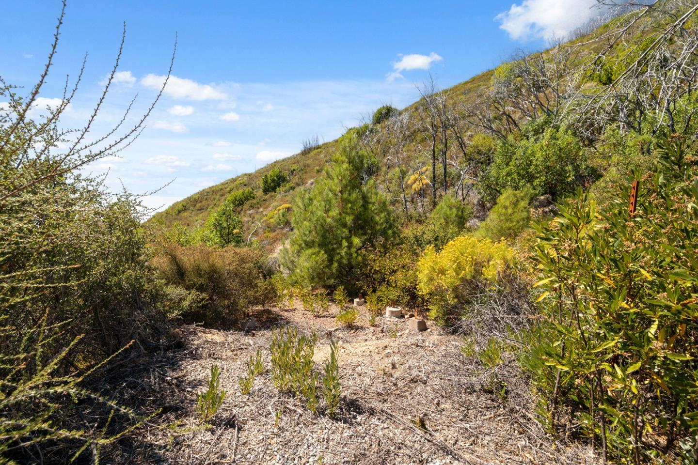 35005 Loma Chiquita Road