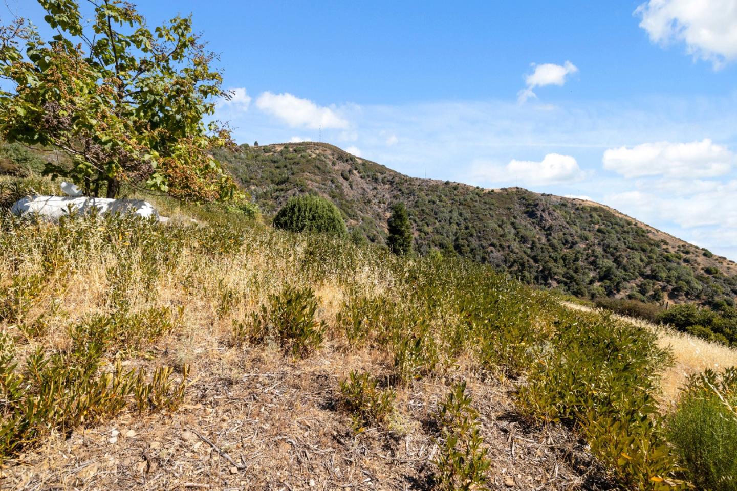 35005 Loma Chiquita Road