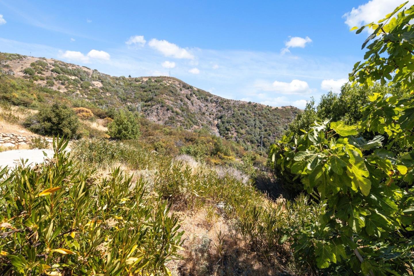 35005 Loma Chiquita Road