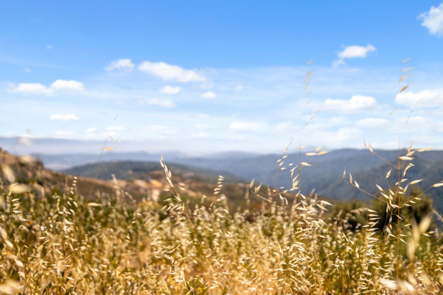 35005 Loma Chiquita Road