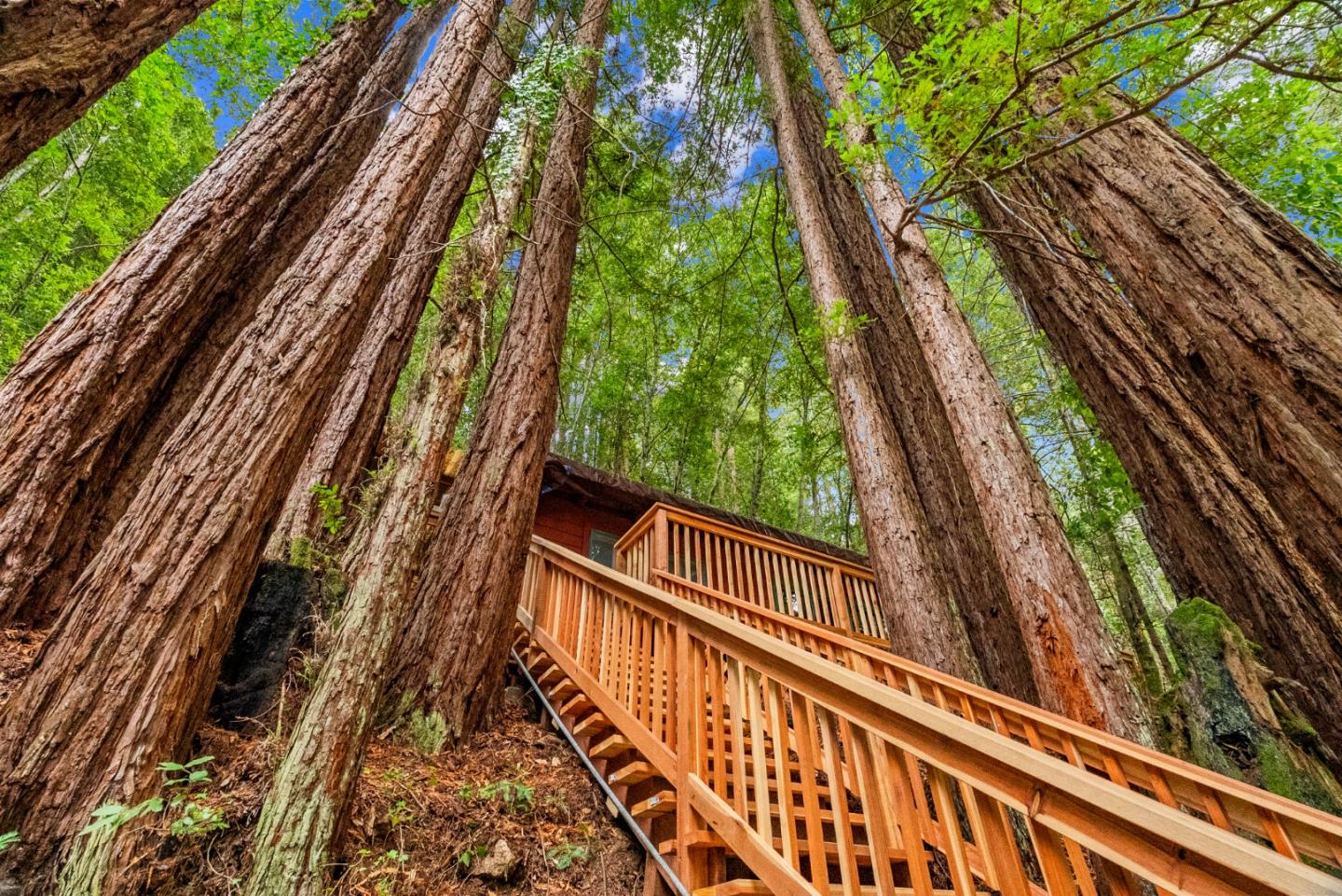 1741 Gold Gulch Road