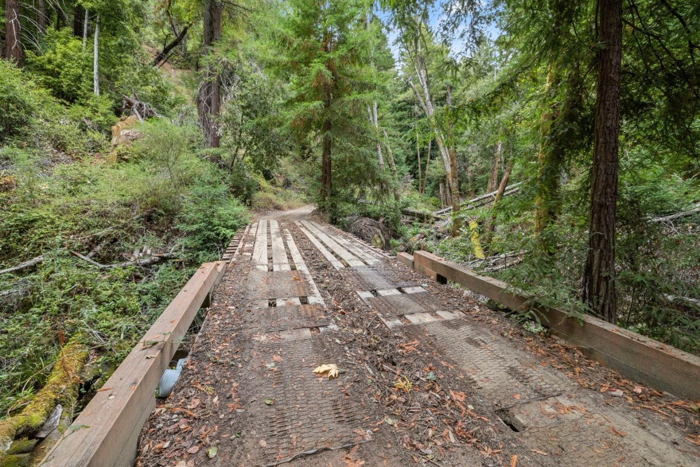 02 Bear Creek