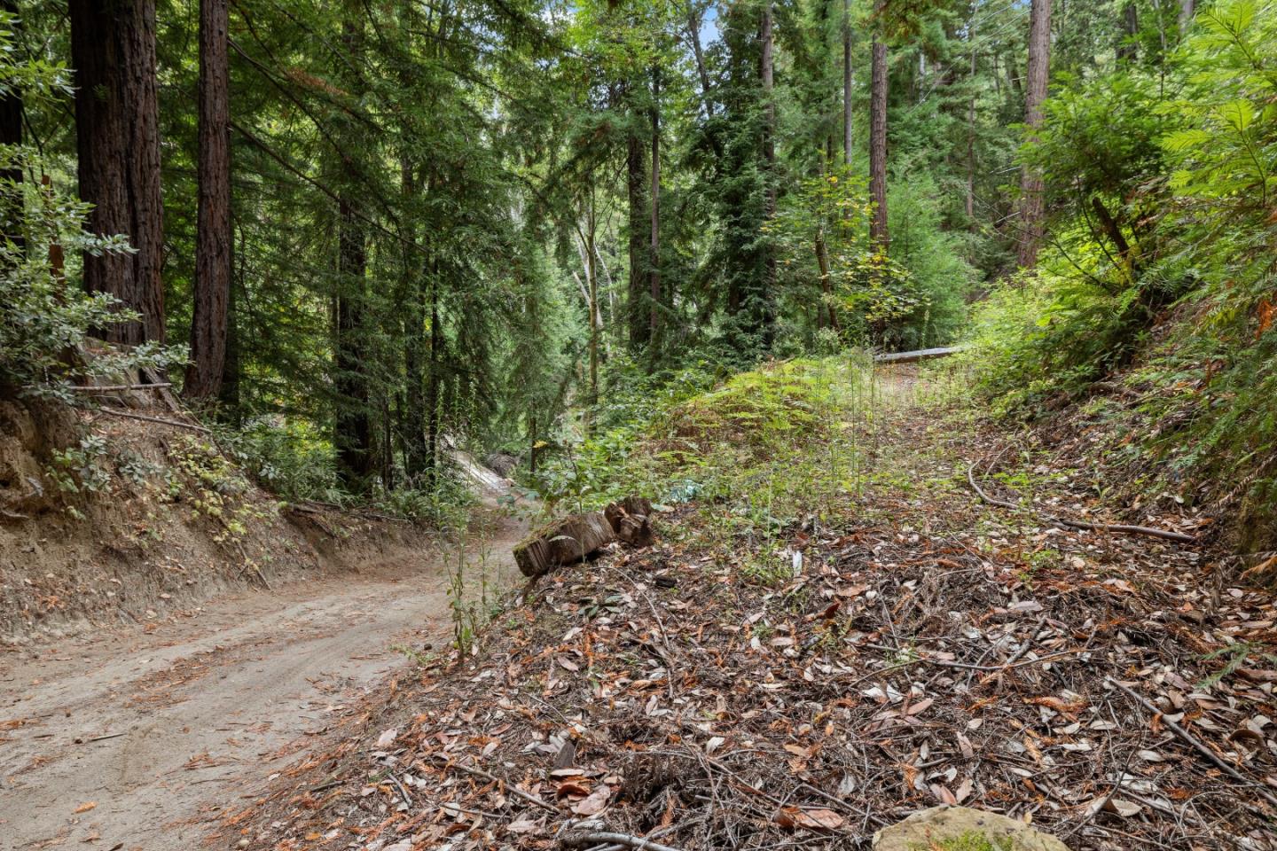 02 Bear Creek