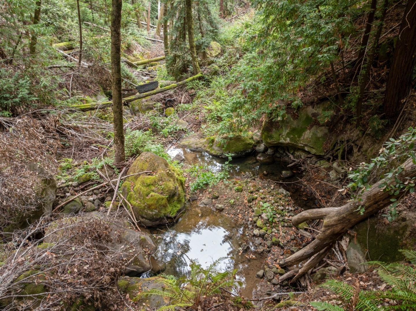 02 Bear Creek