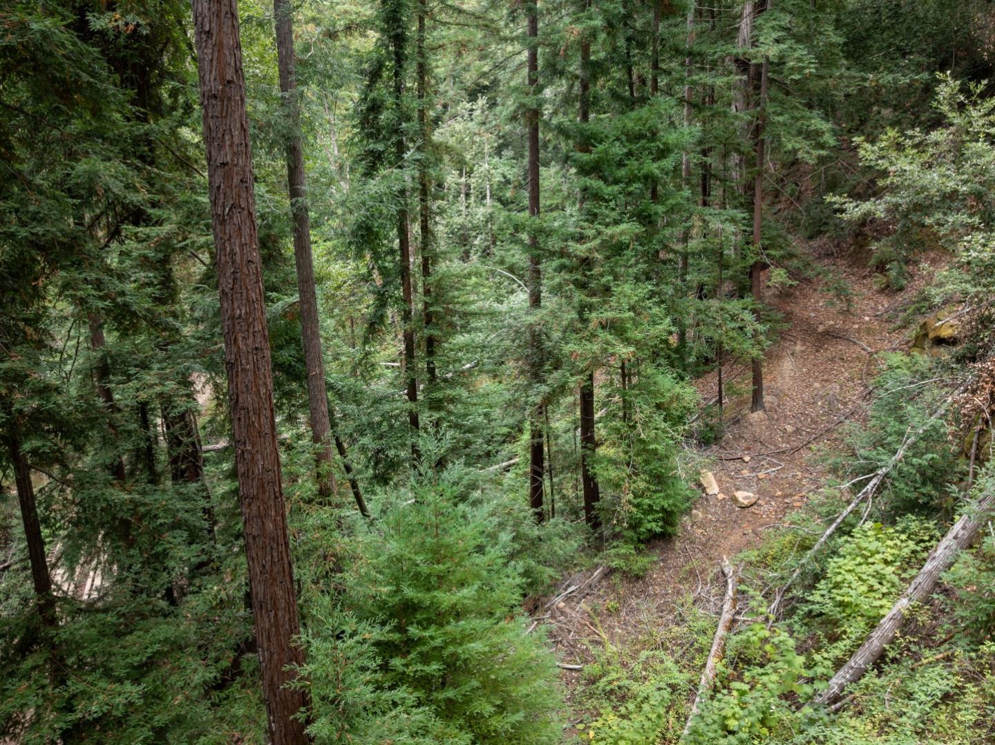 02 Bear Creek