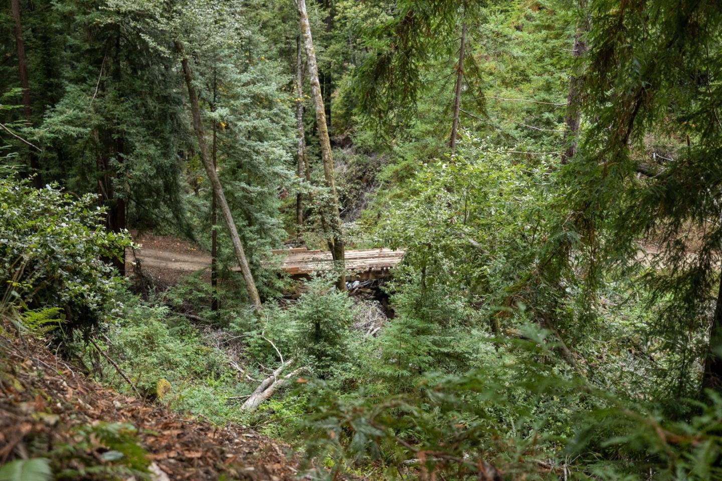 02 Bear Creek
