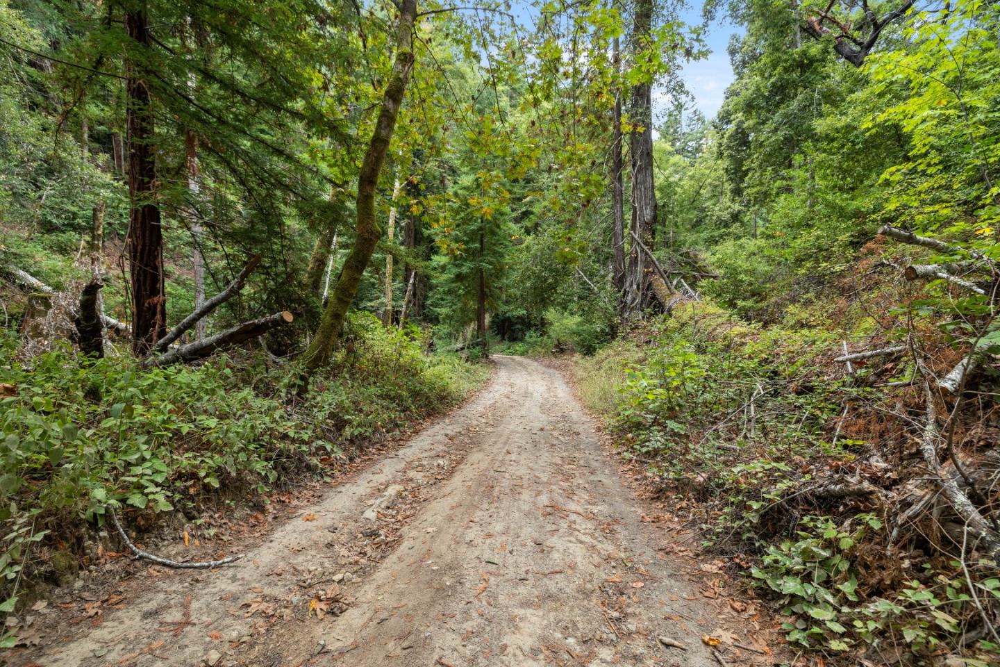 02 Bear Creek