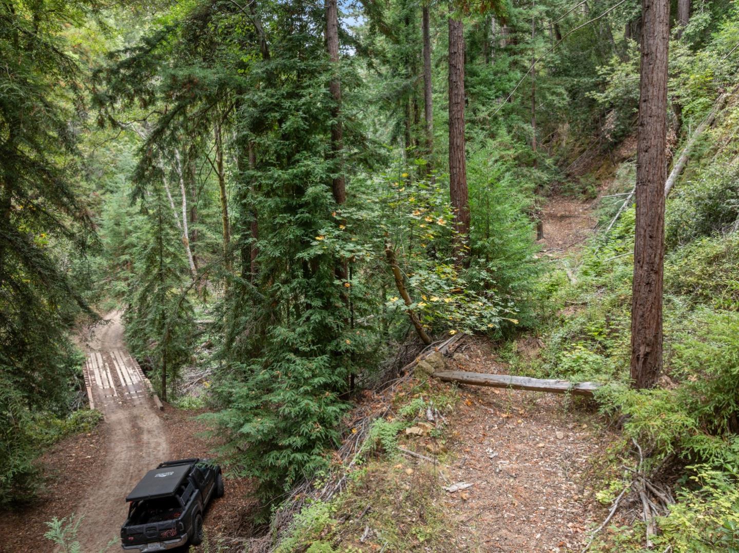 02 Bear Creek