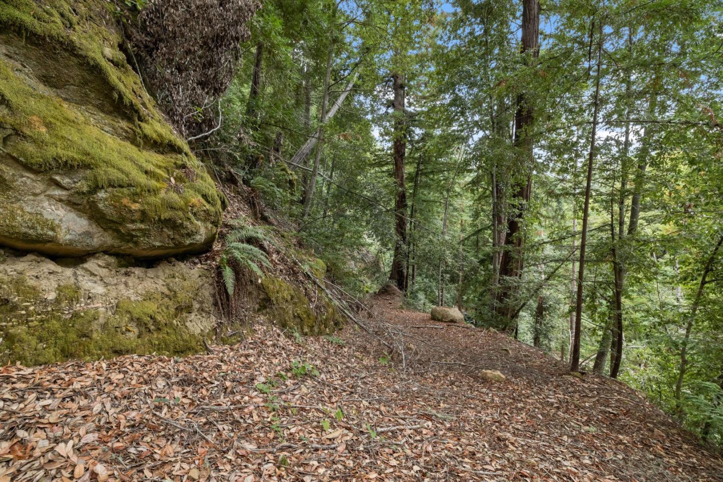 02 Bear Creek
