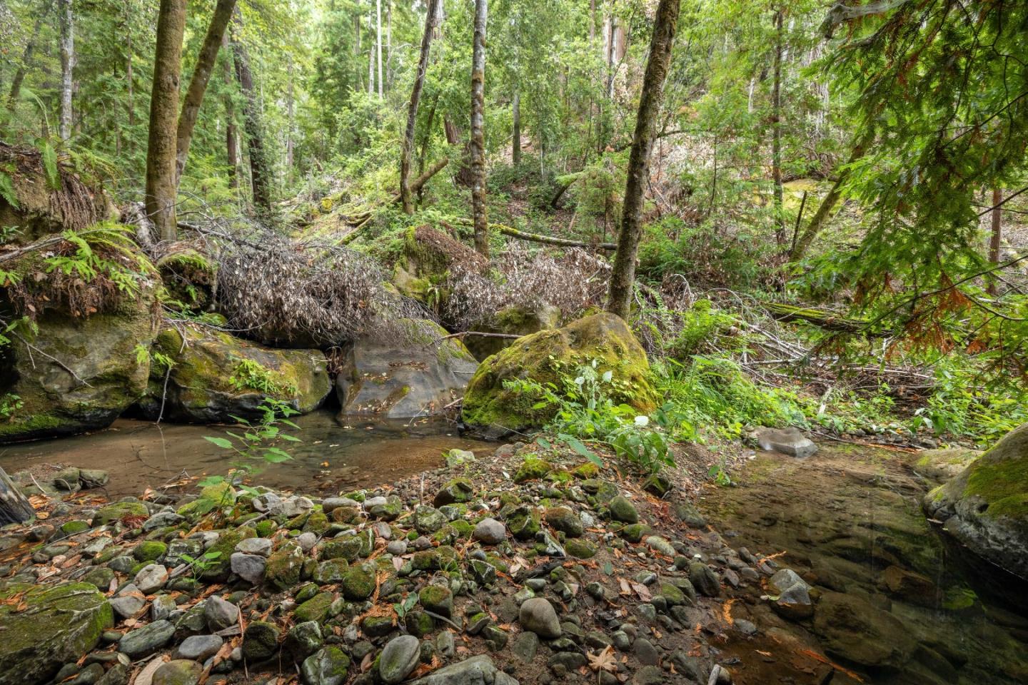 02 Bear Creek