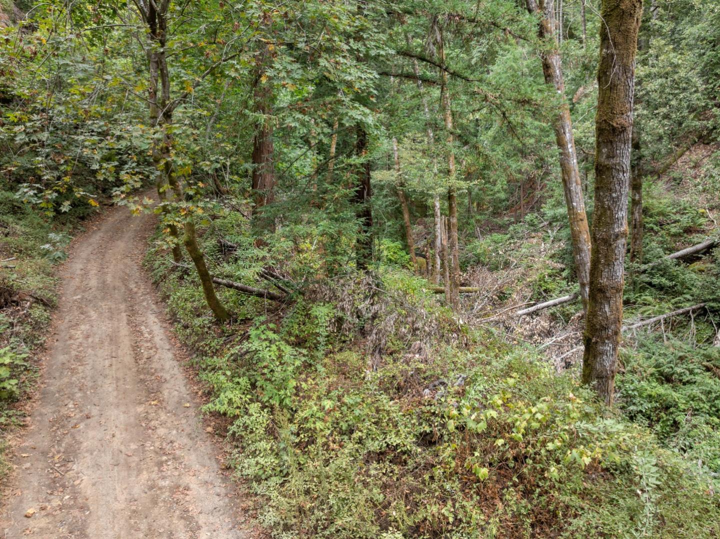 02 Bear Creek
