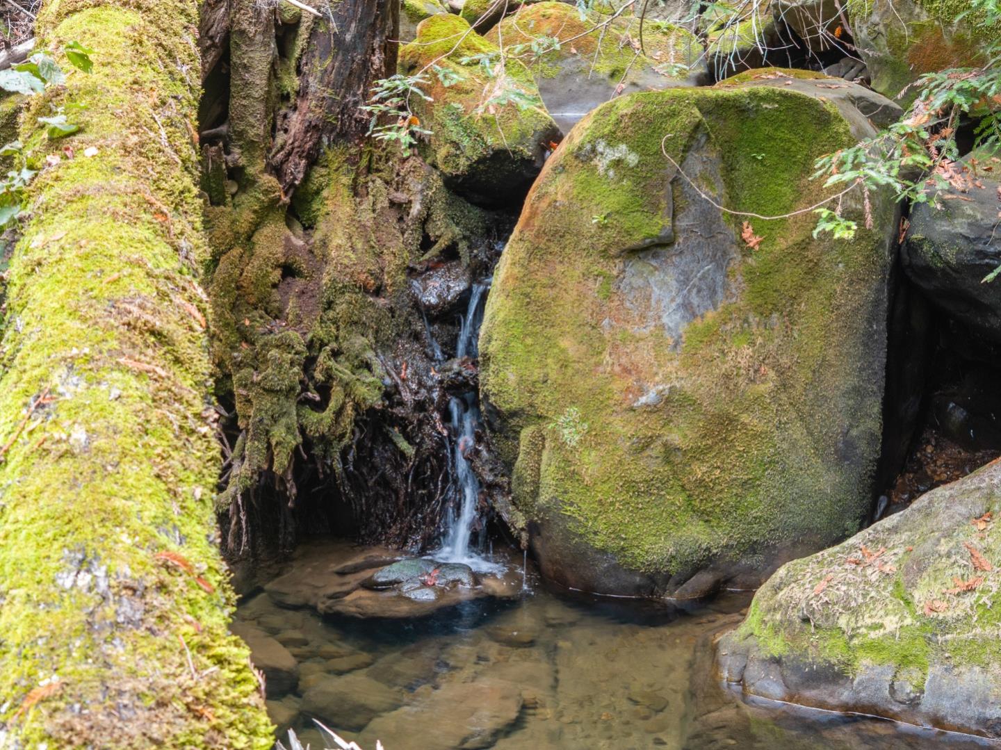 02 Bear Creek