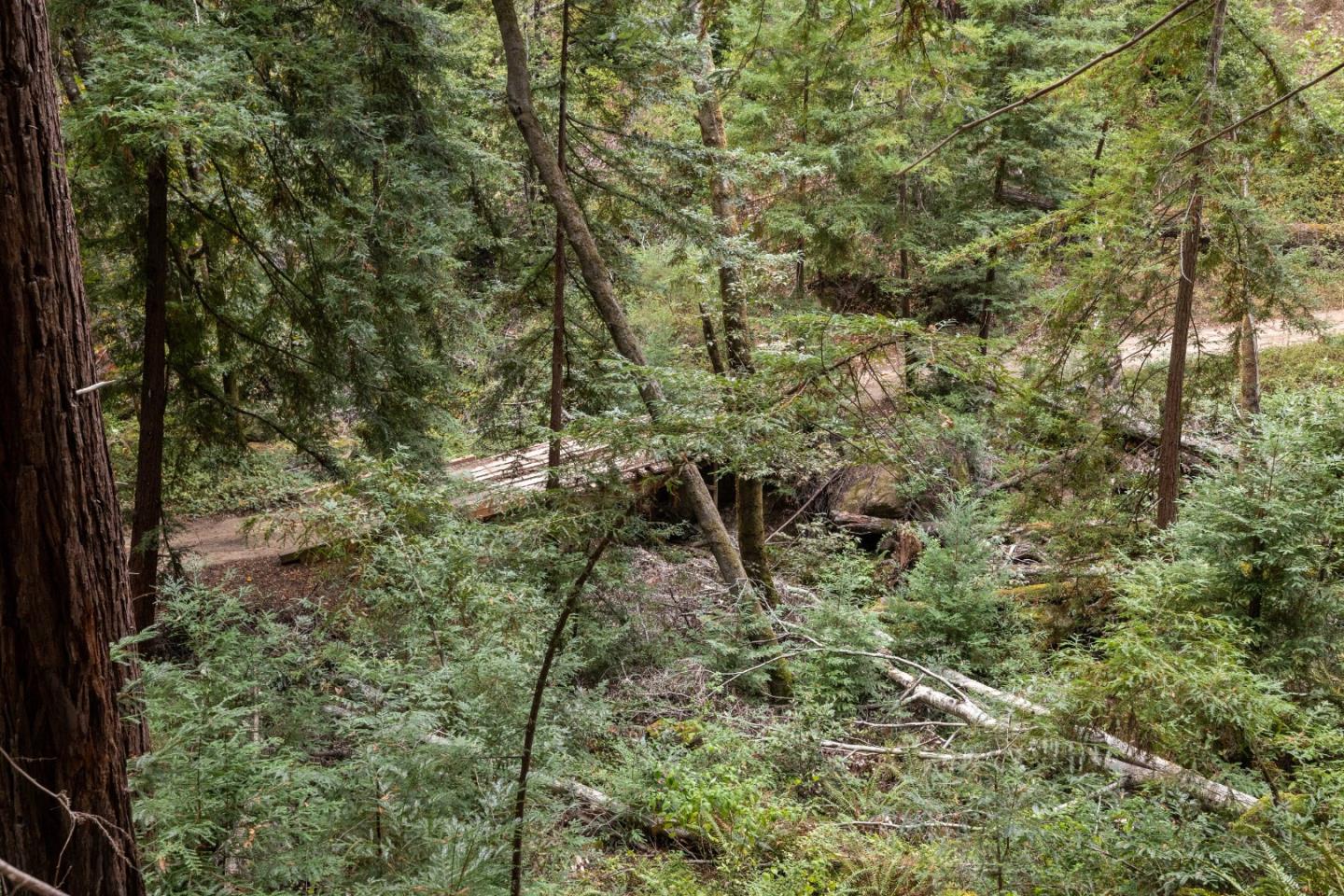 02 Bear Creek