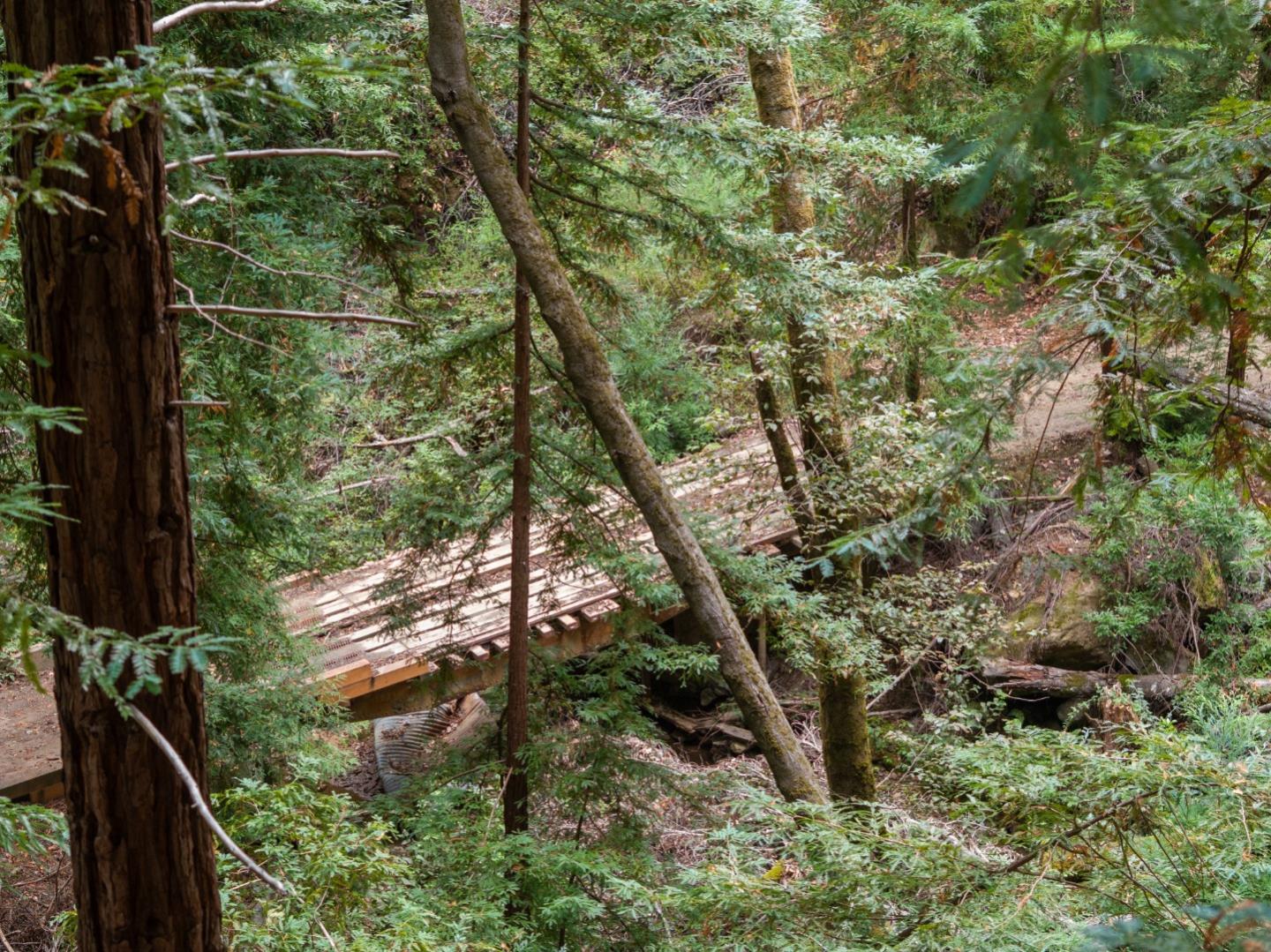 02 Bear Creek