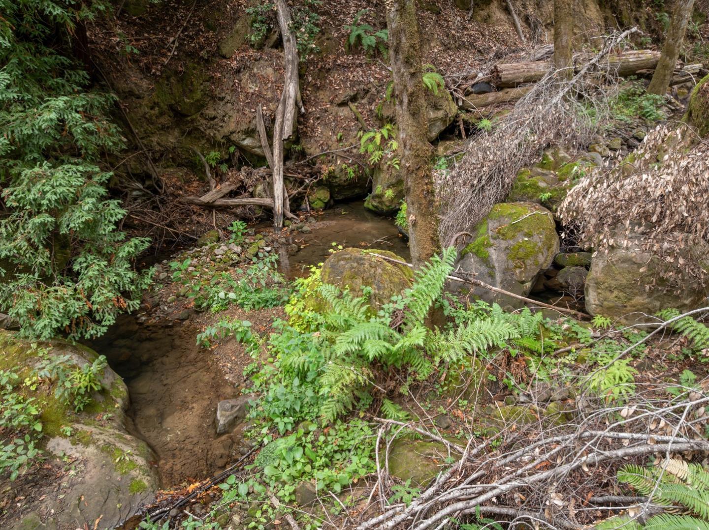 02 Bear Creek