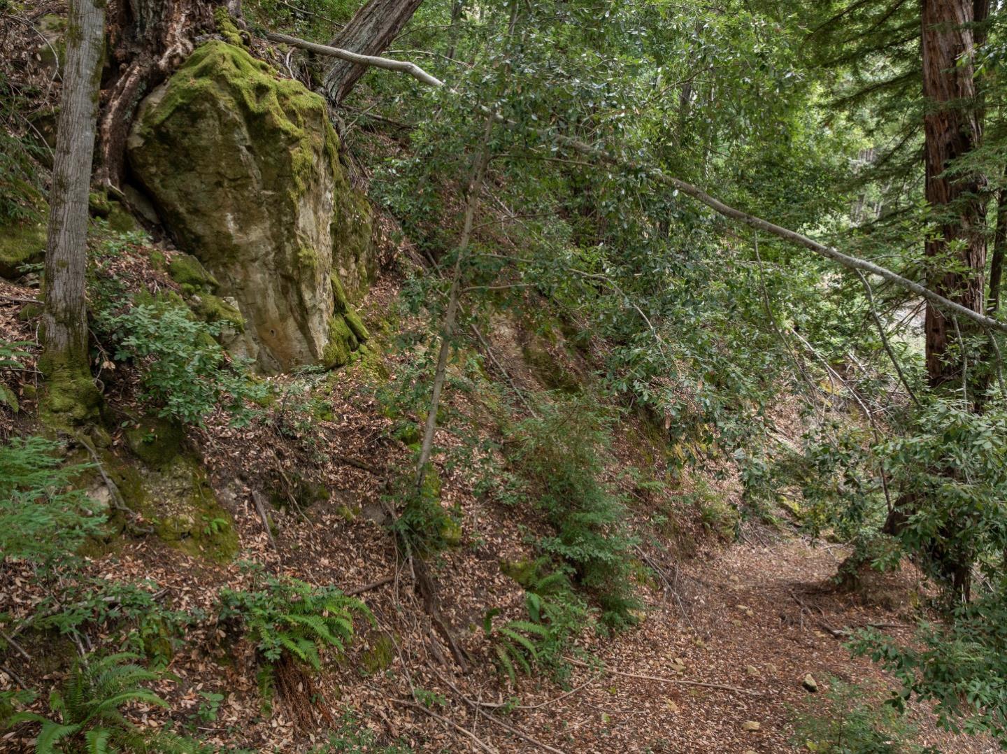 02 Bear Creek